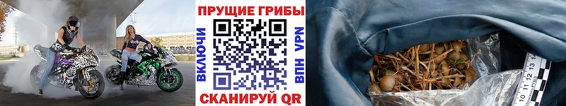 Псилоцибиновые грибы ЛСД  Новоалтайск 